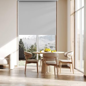 Roller shades Victoria12